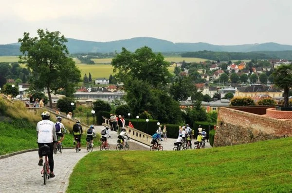 Activities Image