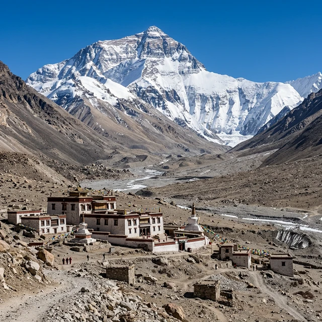 Activities Image